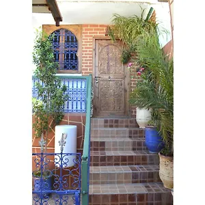 Wink ** Marrakesch
